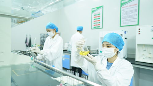 疆果果健康食品研究院獲評自治區(qū)級企業(yè)技術(shù)中心，引領(lǐng)健康食品產(chǎn)業(yè)創(chuàng)新發(fā)展