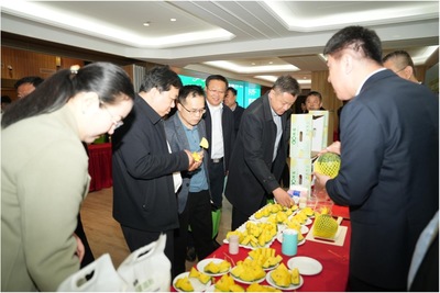 農視網投資管理 農業媒體與資本融合的創新路徑